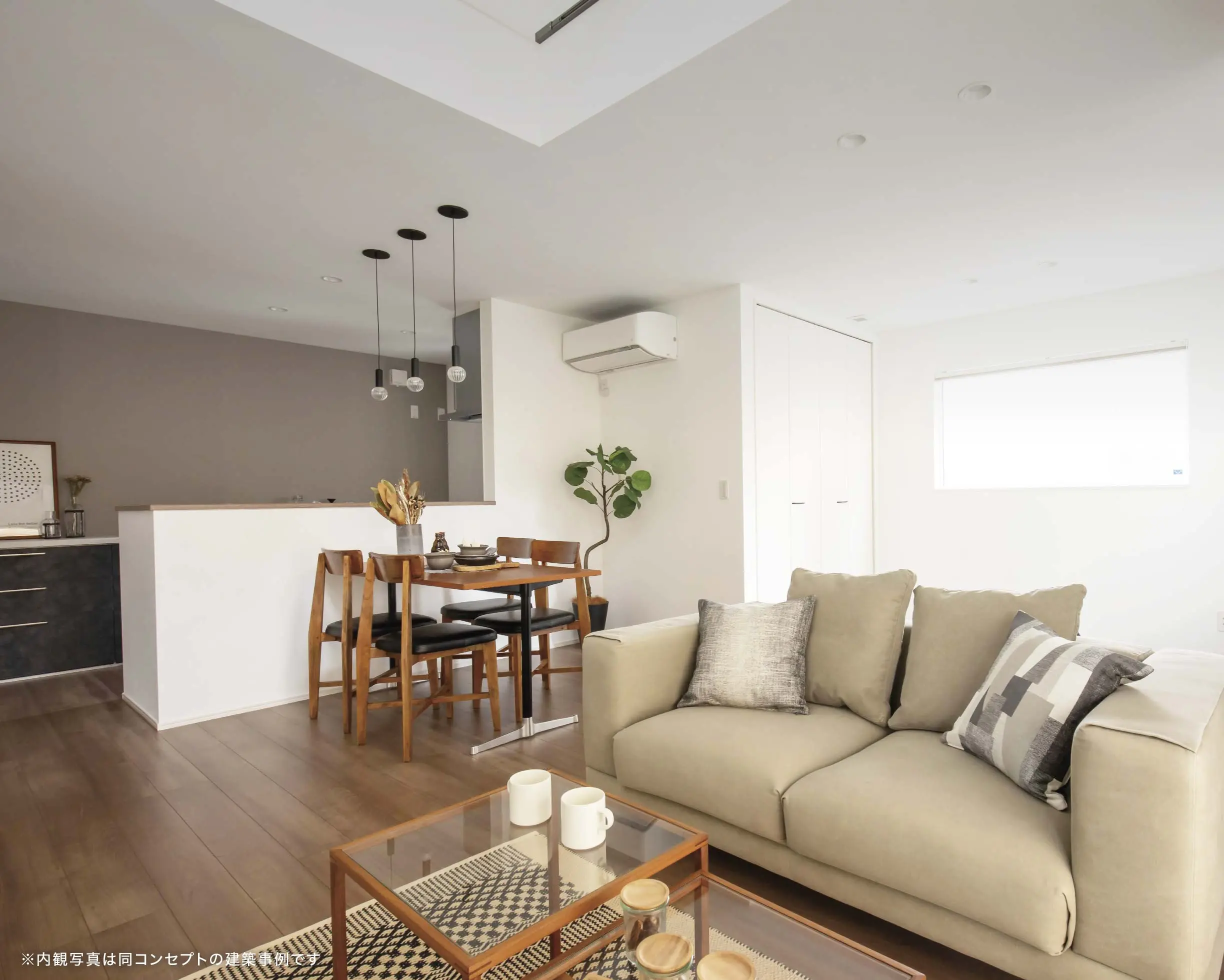 サンプロ3　ハナヨリダンゴサマ Sambazon Amazon Energy Organic Acai Berry Low Calorie Energy Drink