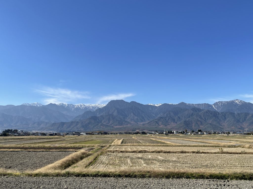 スキーの板を買いました。