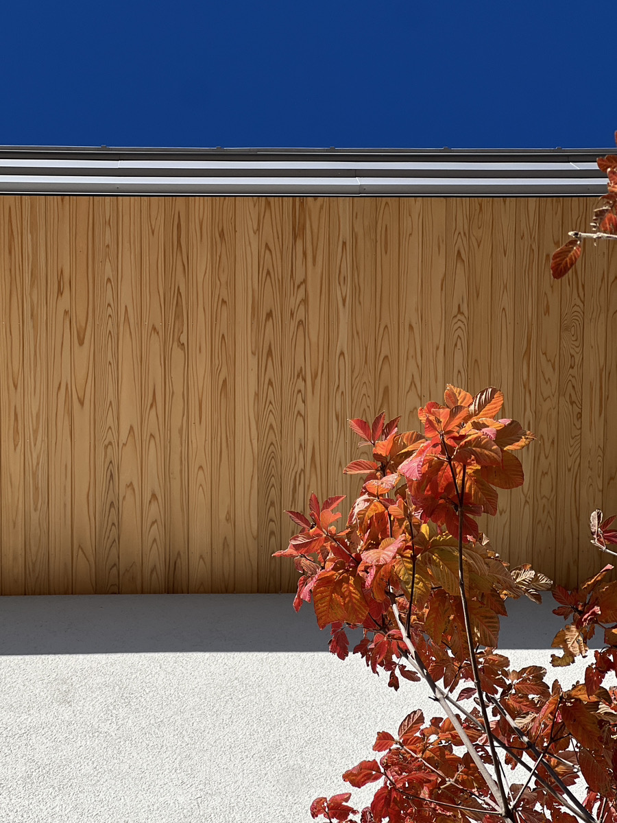 【長野県】スマホのカメラでどこまで撮れるか