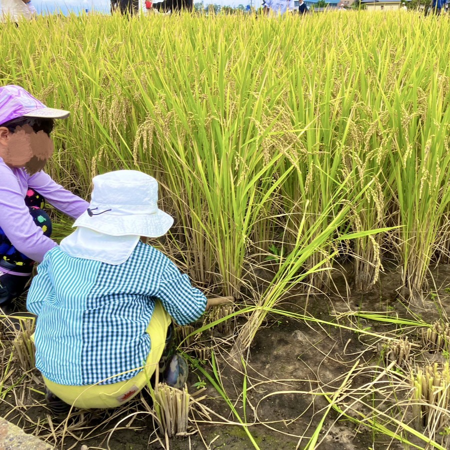 【子育てブログvol.1 in松本市】