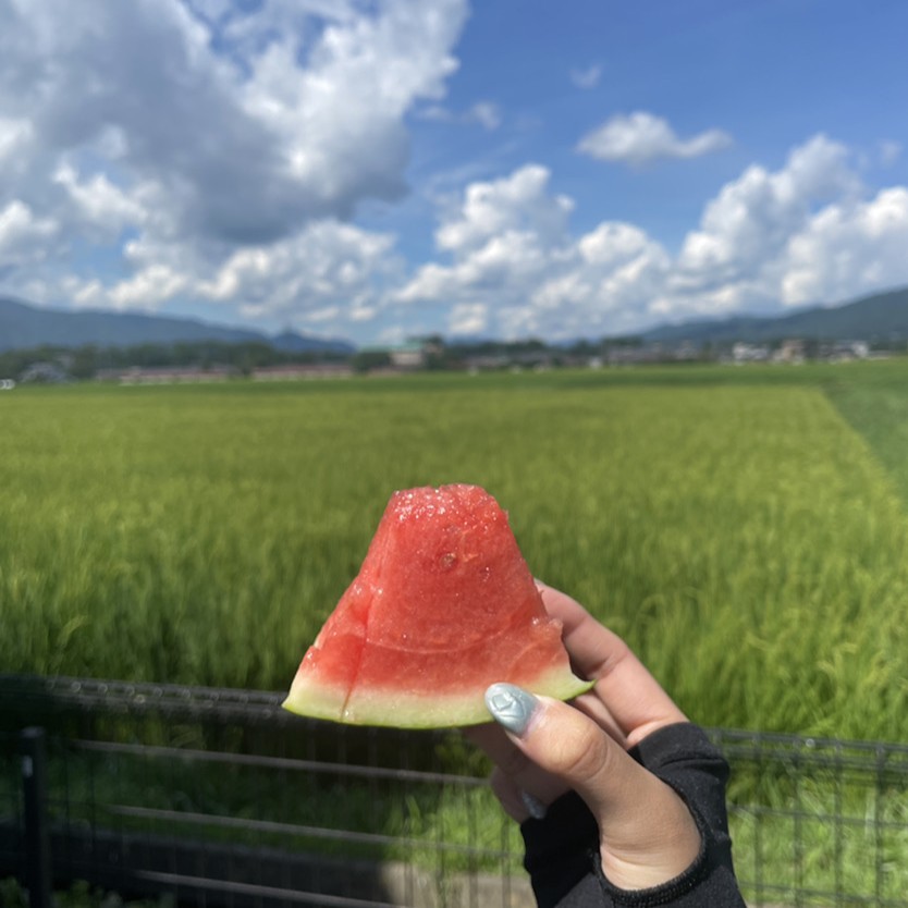 【長野市】【松本市】ブログ、はじめました。/ お披露目会開催!