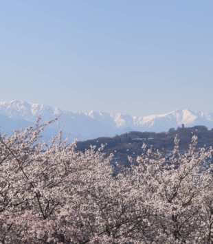 【松川村】完成お披露目会を開催します！