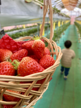 【子育てブログvol.4　in松本市浅間温泉】