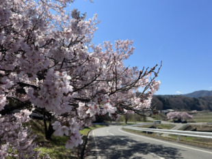 【南信地域】住宅イベント情報