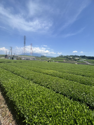 【千曲市】お披露目会開催!