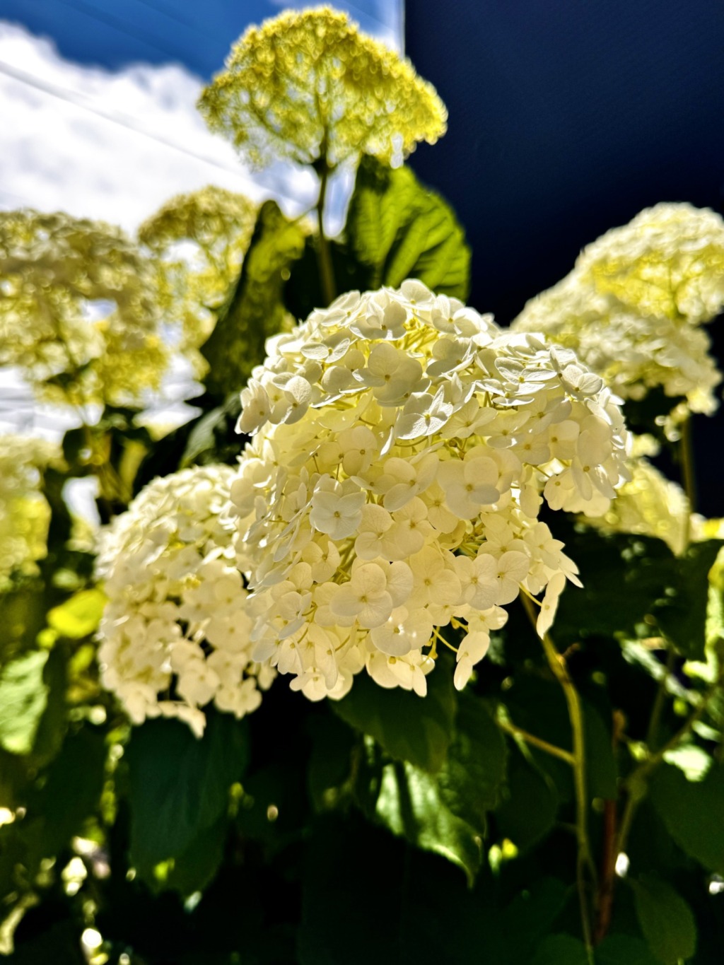 【小諸市】6月末お披露目会開催予定です♪